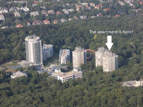  Dóri's House in Budapest