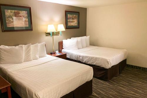 Roadside Motel - image 9