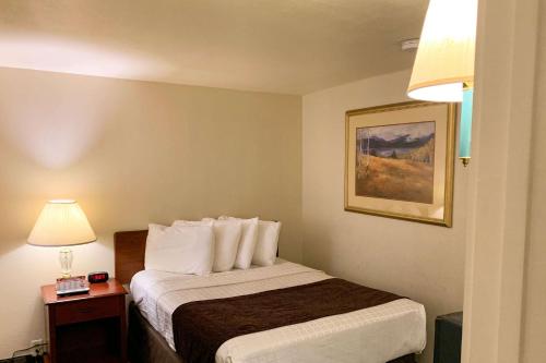 Roadside Motel - image 11