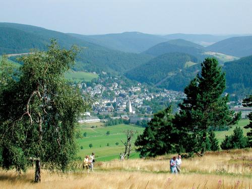 Fewo E am Kurpark - image 4