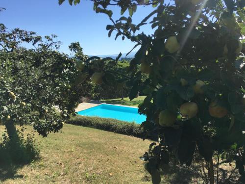 Podere Casanova - image 11