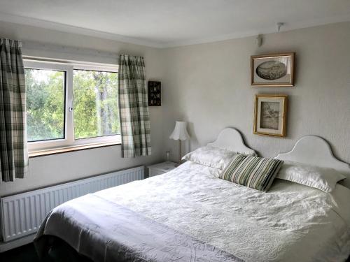 B&B Sittingbourne - Holly House B&B - Bed and Breakfast Sittingbourne