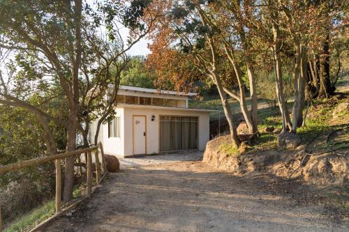 Parcela Paso del Leon (Cabanas)