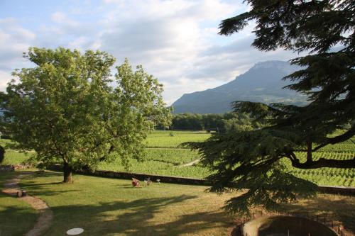 Skats, Château La Violette (Chateau La Violette) in Myans