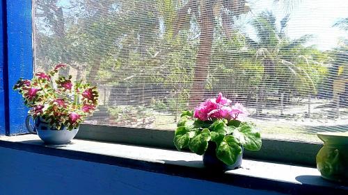 

Pousada e Cafe Cordel Encantado