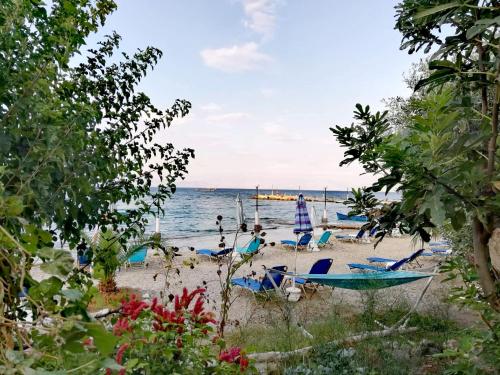  Vassia's Beach Houses in Benitses