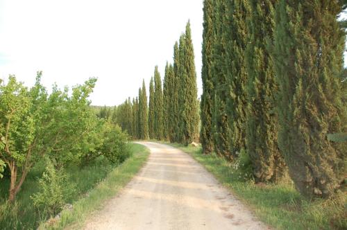 Novelleto - image 6