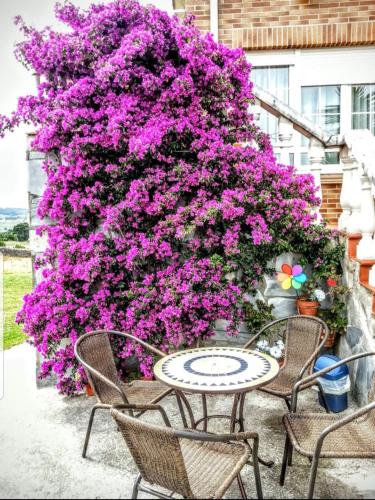  Apartamentos La Pradera de Isla in Isla