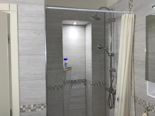 Vitoshka apartment
