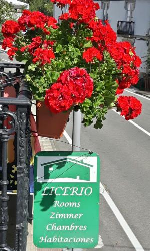 Casa Licerio