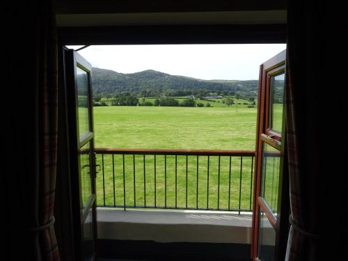 The Groes Inn - main image