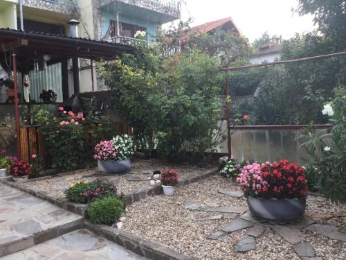 Guest House Paskal - image 4