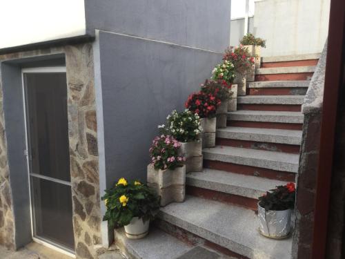 Guest House Paskal - image 10