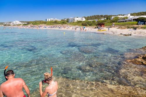 Seth Mestral & Llebeig