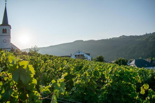 Weingut Johanneshof - Apartment - Minheim