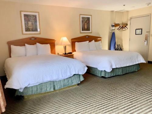 惠特尼套房酒店 (Whitney Inn & Suites) in 哈姆登