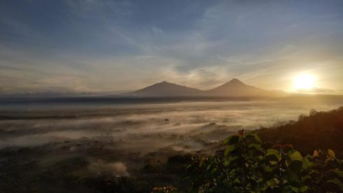 Surrounding environment, Genthong Homestay in Magelang