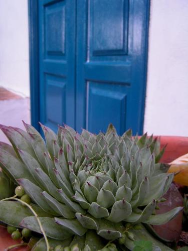  Okamaja Haus in São Brás de Alportel