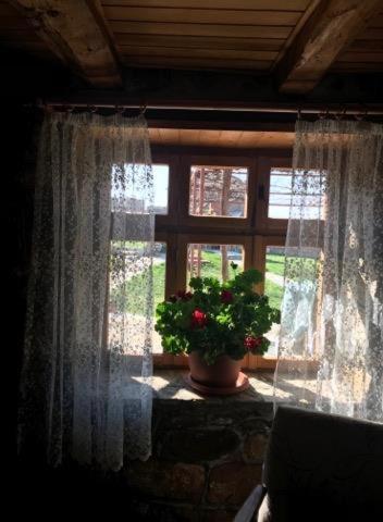 Etno House BLAGIBOG