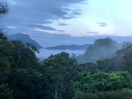 . El Valle de Anton La Chachalaca