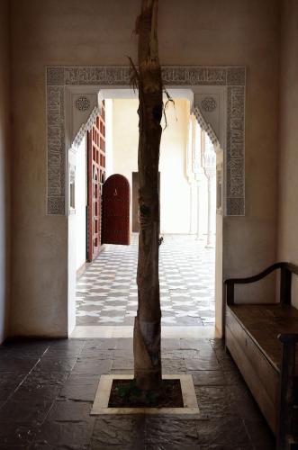 21929904 Ksar Char-Bagh Small Luxury Hotels