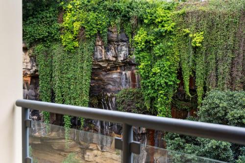 Inner city retreat in Pyrmont 1 bdrm with Car space - 28 Mill - image 7