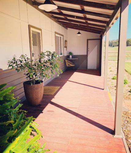 Chesterfarm and Stables in King River