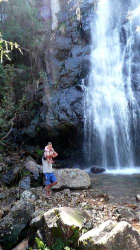 Snowy Mountain Holidays
