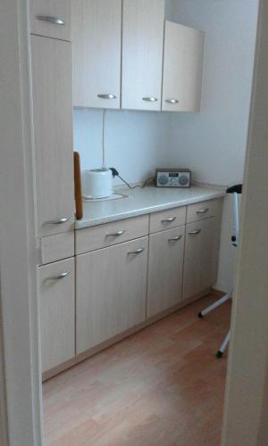 Wikingerstadt 1 in ชเลสวิจ