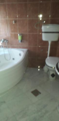 Hostel Royal