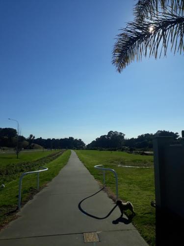 Hidden Gem in Oaklands in Poraiti