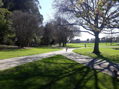 Hidden Gem in Oaklands in Poraiti