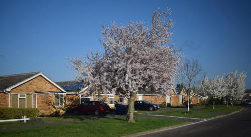 Wings, Oakham (Foto 3)