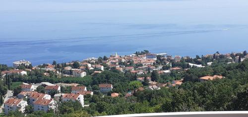 Villa Suzy-Apartments Suzana