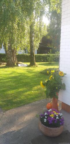 Zum Attersee - image 6