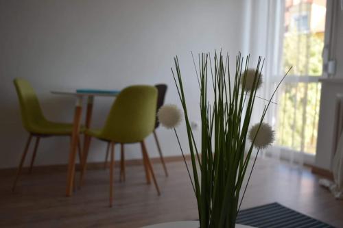  Turquoise Apartment in Pécs