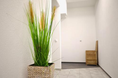 Elsässer Hostel – Hamburg, VA