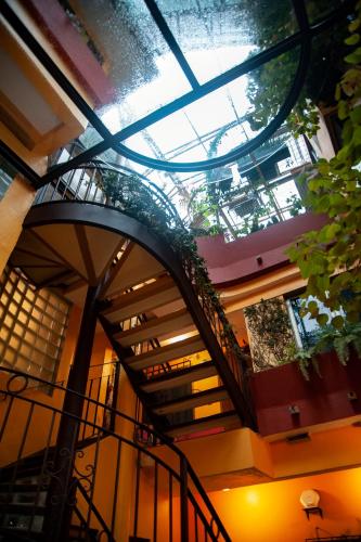 Chalet del Carmen, Coyoacan - 편의 시설/서비스