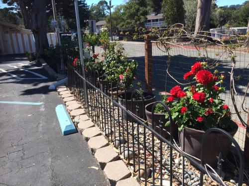 Americas Best Value Presidents Inn Monterey - image 9