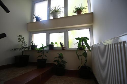 Hostel Teresianum in Aleksinac