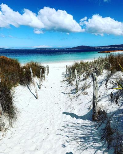 Chesterfarm and Stables in King River