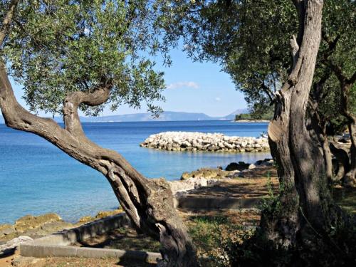  Apartman, Unterkunft in Cres