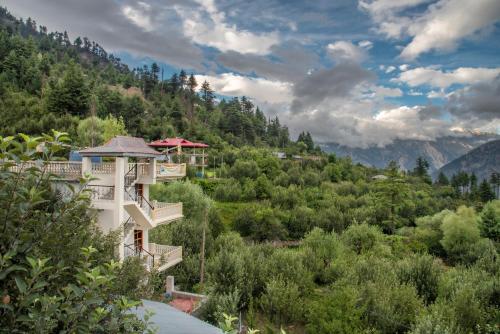 The Wild Trails by Livingstone Kalpa