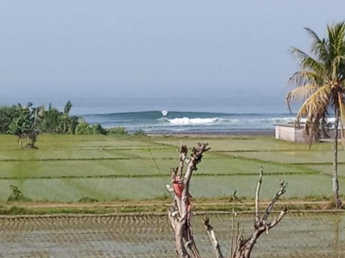 Pemandangan, Harris surf villa in Negara