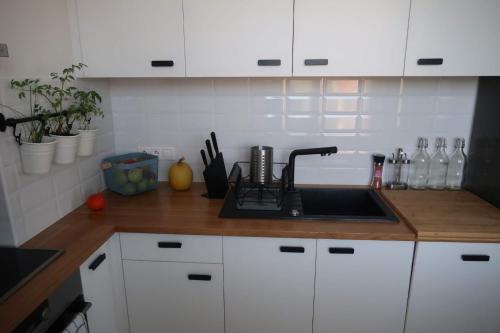 Luxurious apartment 3 min walk to city center - snack, beverages included in price