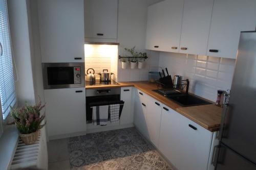 Luxurious apartment 3 min walk to city center - snack, beverages included in price