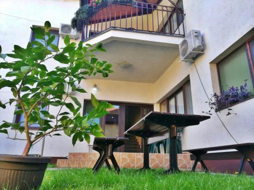 Apartmani Sunflower - Accommodation - Sremski Karlovci