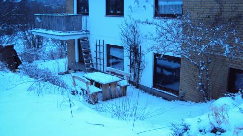 ทัศนียภาพภายนอกโรงแรม, Wikingerstadt 1 in ชเลสวิจ