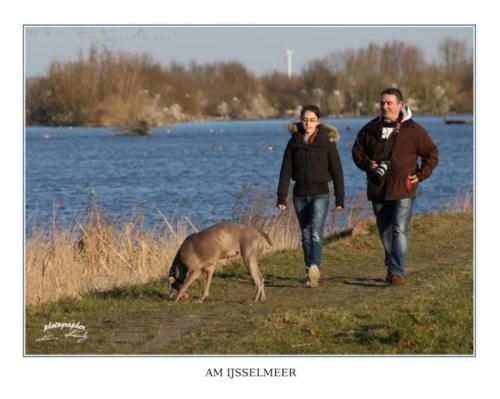 Ferienpark Vislust Haus Antje 2 Niederlande Ijsselmeer in Wervershoof