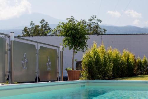 Veda elegant rooms